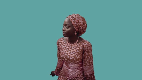 Iroko Africa Presentation (6)