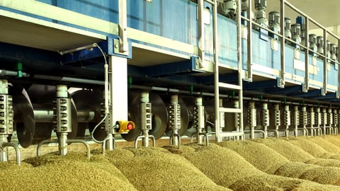 Malt Manufacturing