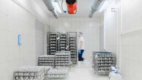 Cold Storage