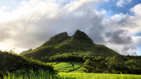 Mauritius Economy